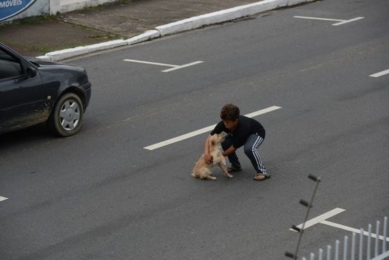 Jean, el niño que desafió el tráfico para salvar a su perro (FOTO)