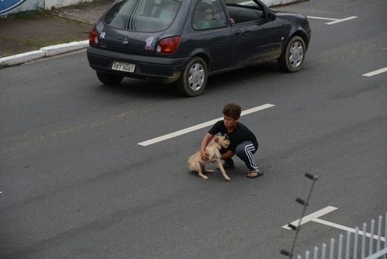 Jean, el niño que desafió el tráfico para salvar a su perro (FOTO)