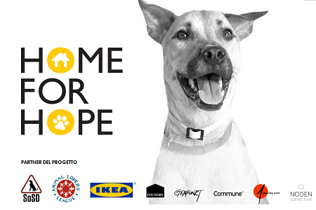 Cães e gatos à procura de um lar: Ikea cuida da promoção da adoção (VÍDEO)