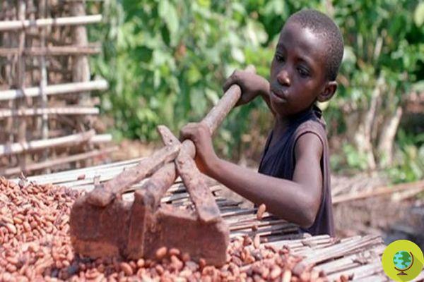 Les enfants esclaves qui apportent du chocolat à nos tables