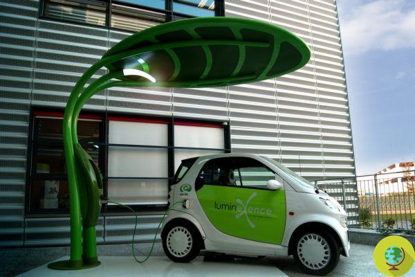 Lotus, la feuille qui recharge les voitures électriques et meuble la ville