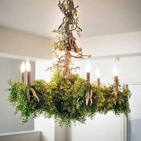 Ceiling Chandelier: the green chandelier that looks like a candelabra