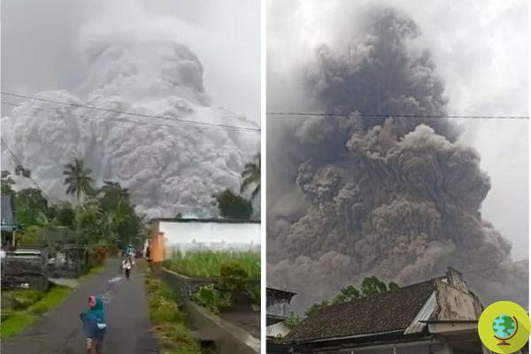 Erupção assustadora na Indonésia: dezenas de feridos e milhares de pessoas fugindo da fúria do vulcão Semeru