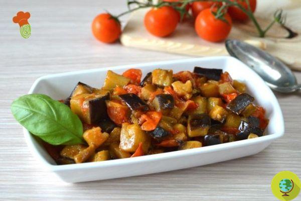 Aubergines: 10 recipes to enjoy them at their best