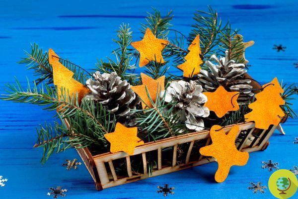 Christmas decorations with fruits, spices and aromatic herbs: tricks, tips and tutorials to make them