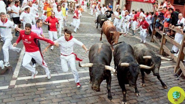 Encierro de toros de Pamplona: tradiciones que se resisten