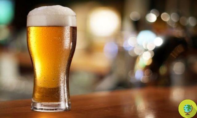 Cerveja: um litro por dia afasta diabetes e hipertensão!