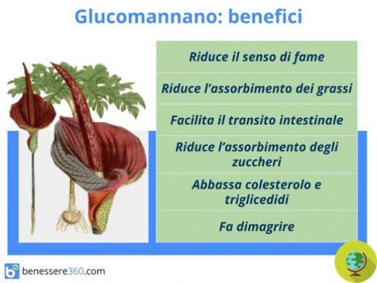 Le glucomannane, ça fait maigrir ? Quelles contre-indications ?