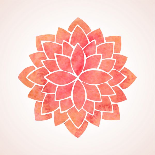 Lotus flower: history, characteristics and symbolism in various cultures