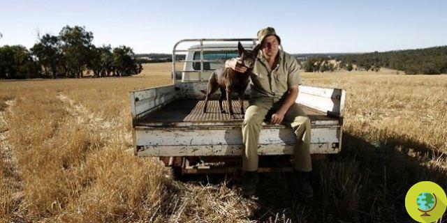 Steve Marsh: Ajudamos o agricultor orgânico australiano que luta para impedir as culturas GM da Monsanto