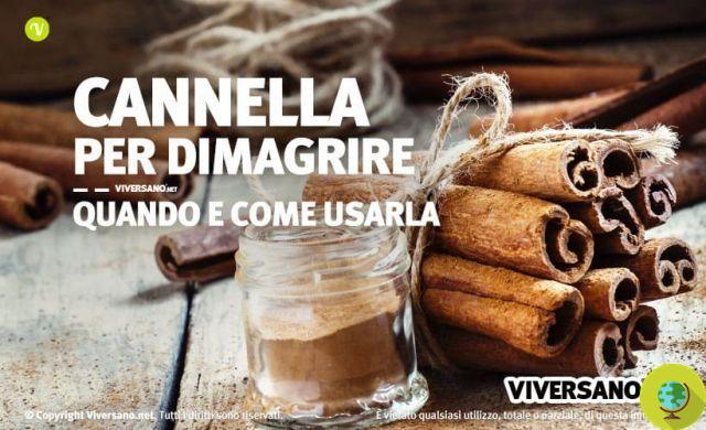 Cinnamon: how to consume it correctly and in what quantities
