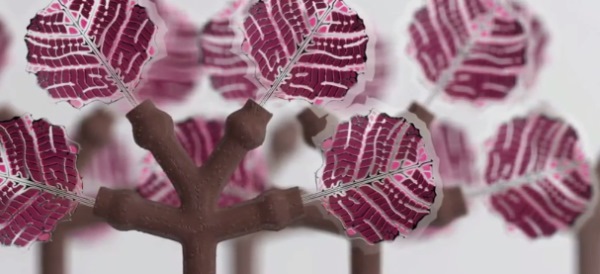 Photovoltaïque bio : créer du papier peint recyclable qui produit de l'énergie