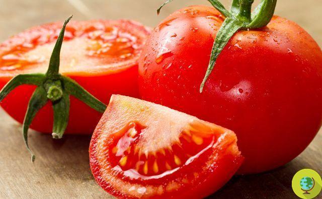 Tomates: adiós golpe, gracias al licopeno