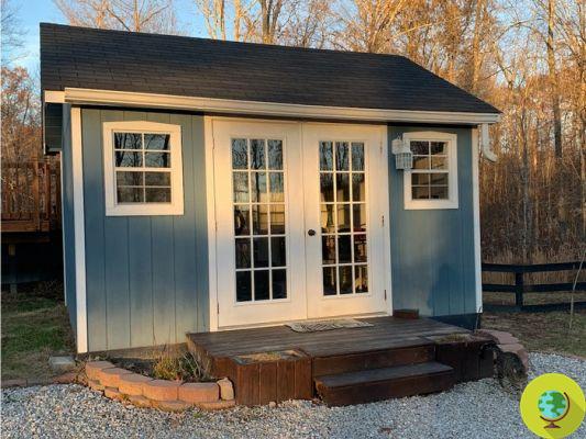 This family builds a small village: a tiny house for each teenage child
