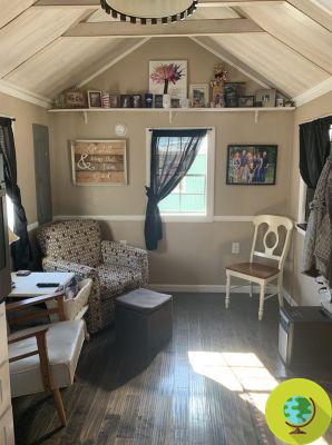 This family builds a small village: a tiny house for each teenage child
