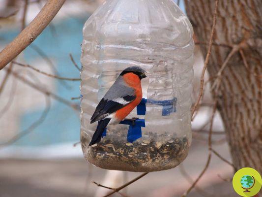 10 bird feeders with recycled materials