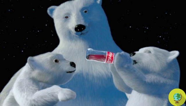 Coca-Cola fica branca para ursos polares