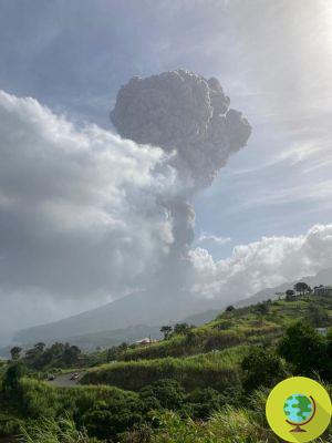 Caribe, volcán entra en erupción en la isla de San Vicente: miles de personas evacuadas
