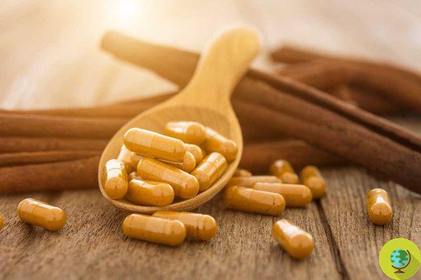 Cinnamon supplements: This is the maximum dose of coumarin not to be exceeded to avoid liver problems