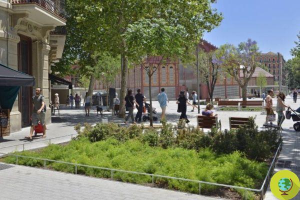 Pas de voitures, que des arbres et des fleurs : Barcelone veut transformer toutes les rues en 
