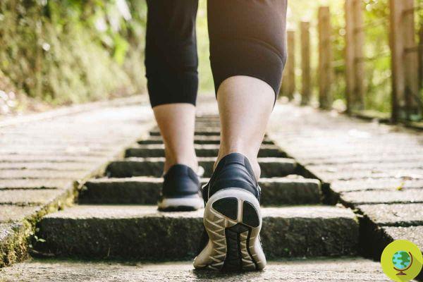 Start walking uphill - you will discover unexpected benefits for your health