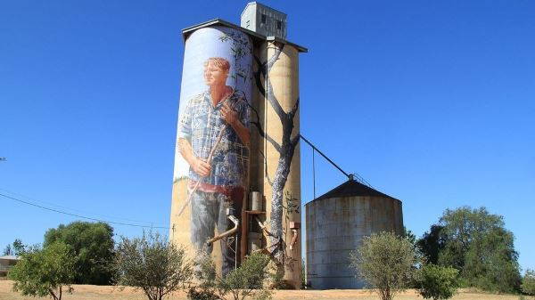 Los bellos silos Arte que está coloreando la campiña australiana