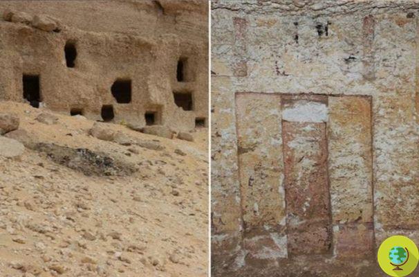New archaeological discovery in Egypt: found 250 tombs dating back to 4.200 years ago