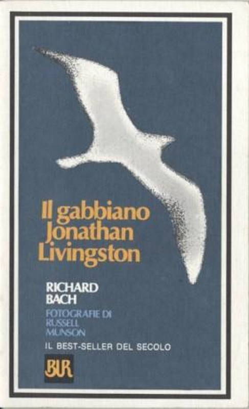 'Jonathan Livingston Seagull' : le best-seller qui nous apprend à 'prendre son envol'