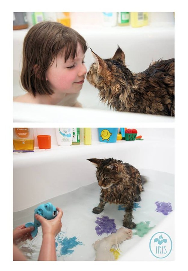 The touching friendship between a kitten and an autistic girl (PHOTO)