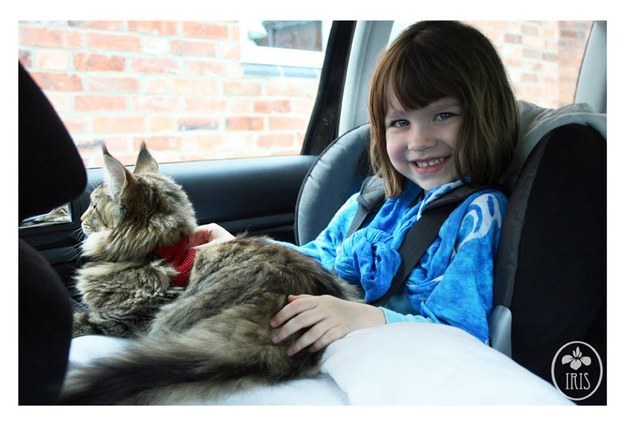 The touching friendship between a kitten and an autistic girl (PHOTO)