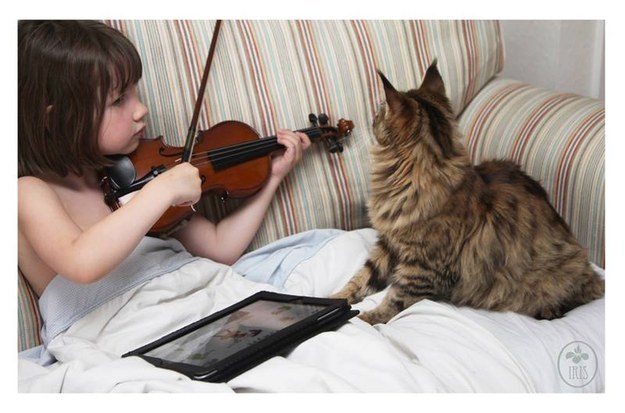 A comovente amizade entre um gatinho e uma menina autista (FOTO)