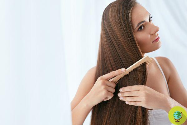 Hair detox: purify the scalp with these simple beauty rituals