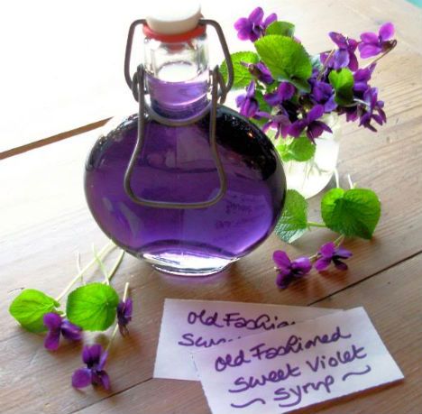 Spring herbs and flowers: 10 recipes for syrups, acetolites and healing wines