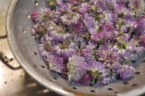 Hierbas y flores primaverales: 10 recetas de almíbares, acetolitos y vinos curativos