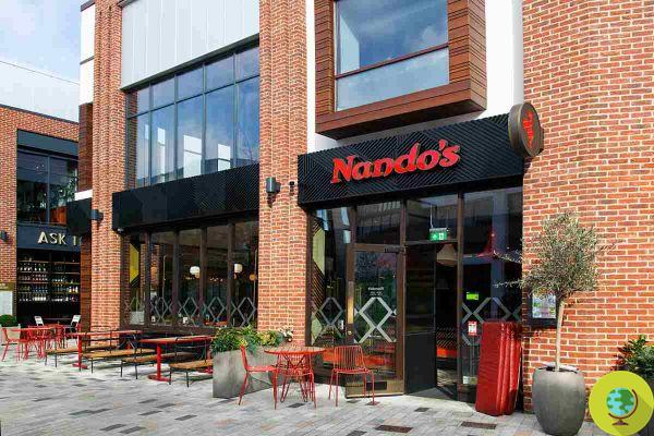 No chicken and fast food chain closes 45 restaurants in the UK