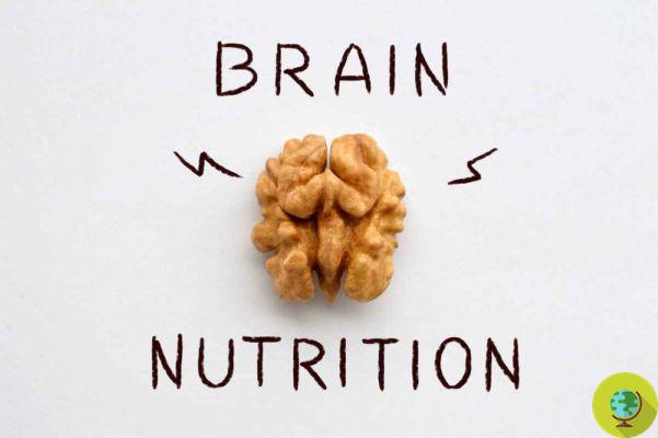 Mind diet: the best foods for the brain and to prevent Alzheimer's