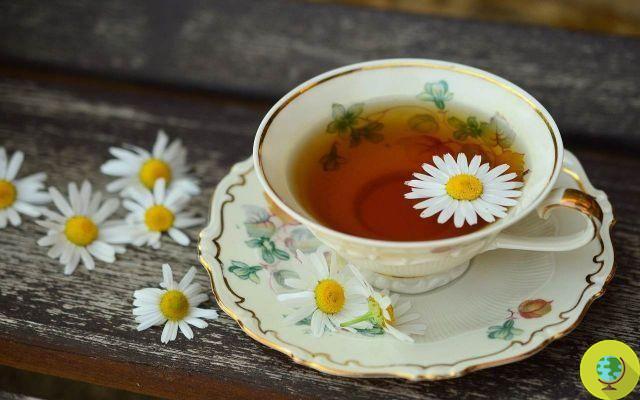 As variedades de chá mais saudáveis ​​que não contêm cafeína