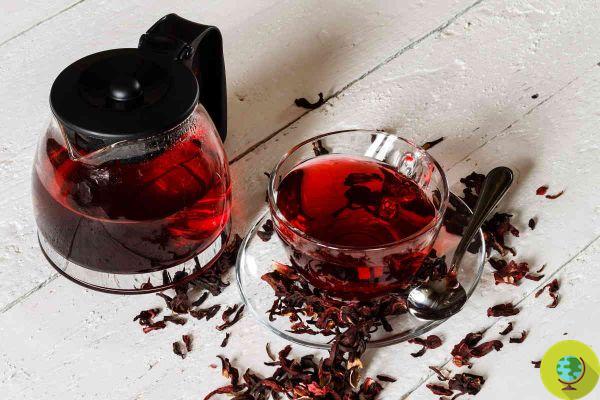 Hypertension: This is the best tea to lower blood pressure if you drink three cups a day