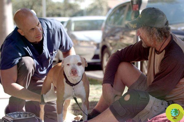 Este veterinário passou os últimos 9 anos vagando pelas ruas para tratar animais sem-teto de graça