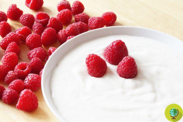 Greek yogurt, skyr, and kefir - do you know the differences and which one is best for you?