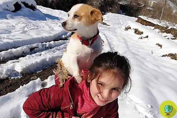 A garotinha que carregou seu cachorro doente nos ombros por quilômetros na neve para que ele fosse examinado pelo veterinário