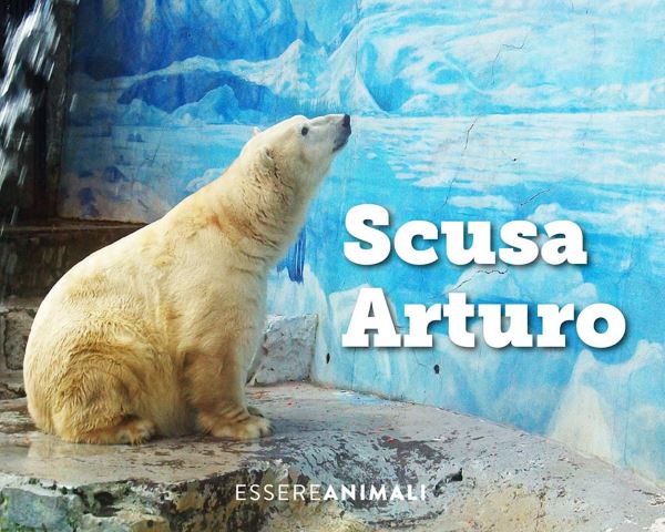 Goodbye Arturo, the saddest bear in the world dies locked up in a zoo