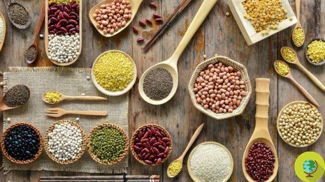 Plant-based proteins are good for you (and live longer)