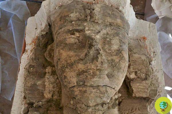 Nova descoberta excepcional no Egito: par de esfinges encontrado no antigo templo de Amenhotep III em Luxor