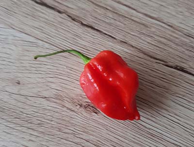 The hottest peppers in the world, the Hot ranking