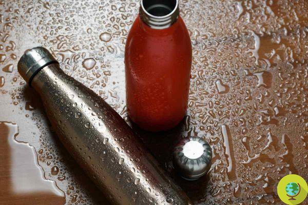 Cómo limpiar correctamente termos y botellas de acero sin dañarlas