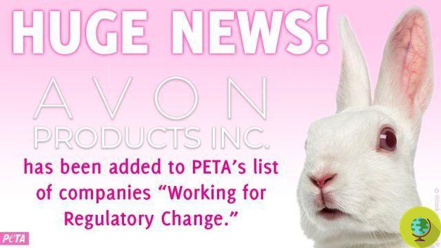 Avon annonce la fin des tests sur les animaux dans le monde, y compris en Chine