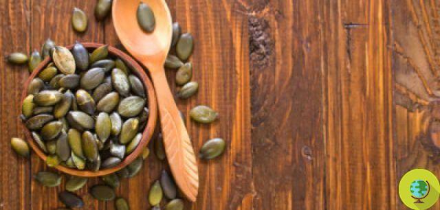 10 razones para comer un puñado de semillas oleaginosas todos los días