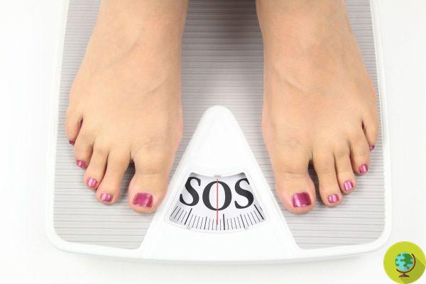 Obesity: it is also the fault of Bisphenol A which affects the metabolism