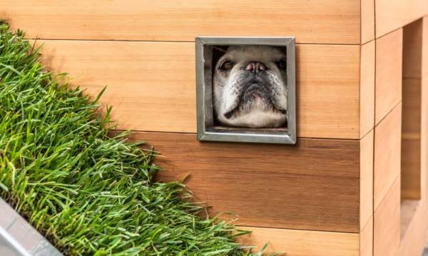 Le chenil des rêves : toit vert et ventilateur solaire pour garder le chien au frais
